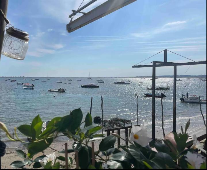 Hotel A La Brise Du Ferret à Lège-Cap-Ferret Extérieur photo